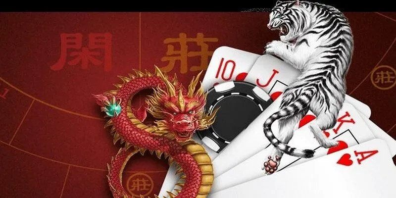 Hướng Dẫn Chi Tiết Cách Chơi bài Rồng Hổ Cho Tân Thủ Tại Daga Cách tham gia Dragon Tiger